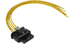 Sensor/Sonde